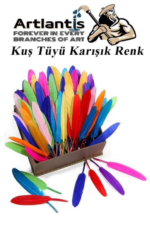 Kuş Tüyü Renkli 12 Li 1 Paket 14 cm Tüy Karışık Renk Hobi Okul Öncesi Kreş Anasınıfı Kuş ve Kaz Tüyü Renkli - 6