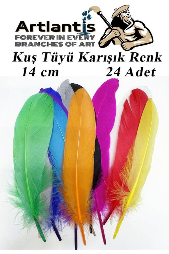 Kuş Tüyü Renkli 24 Lü 1 Paket 14 cm Tüy Karışık Renk Hobi Okul Öncesi Kreş Anasınıfı Kuş ve Kaz Tüyü Renkli