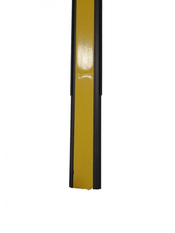 SP 50x12 Balık Sırtı Yapışkanlı Kablo Kanalı Siyah 2mt - 2