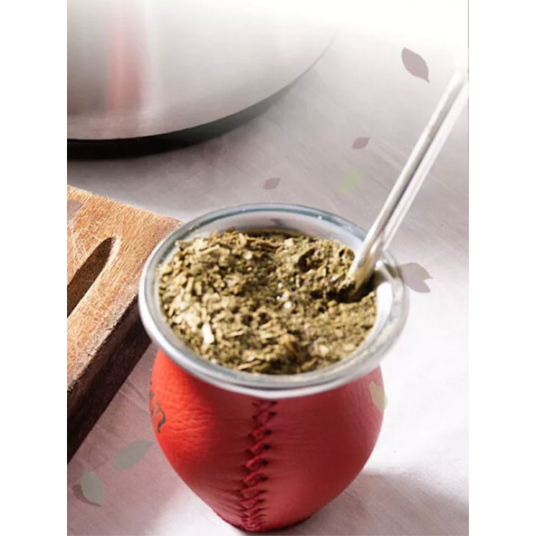 Taragüi Mate Çayı 250 gr X 4 ADET - 5