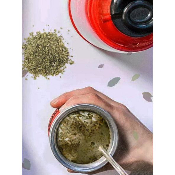 Taragüi Mate Çayı 250 gr X 4 ADET - 6