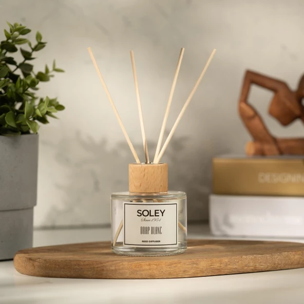 Soley | Drap Blanc | Ferahlatıcı Oda Kokusu - 2