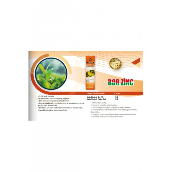 CİTSA BOR ZINC 1 KG - 2