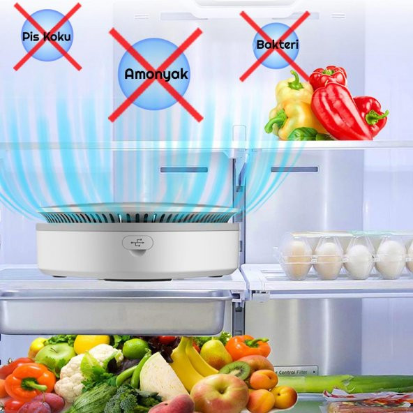 UpWay Ozon Sterilizatör Araç Buzdolabı Hava Temizleme Koku Giderici Dezenfeksiyon Cihazı - 4