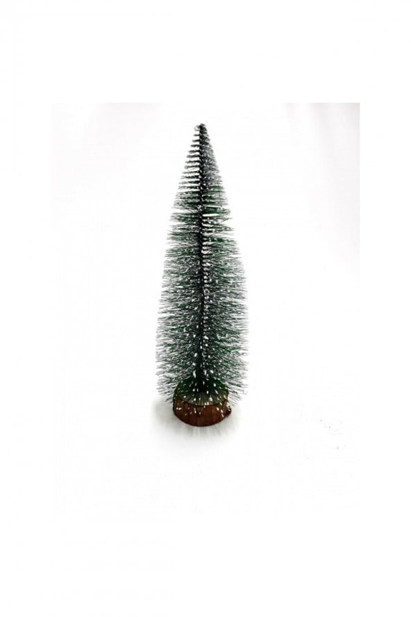 Masa Üstü Çam Ağacı 15 Cm