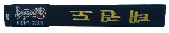DragonDo Nakışlı Siyah Taekwondo Kuşak Master - 3