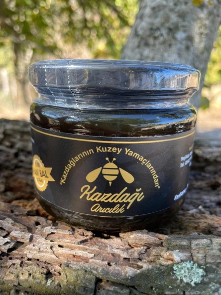 Kazdağı Siyah Bal 430gr - 2