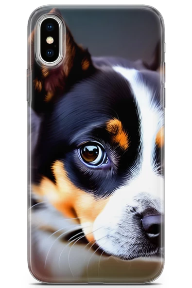 Apple iPhone X - XS Uyumlu Kılıf Dogs 11 İsviçre Bernese 4K Baskılı Kılıf Siyah