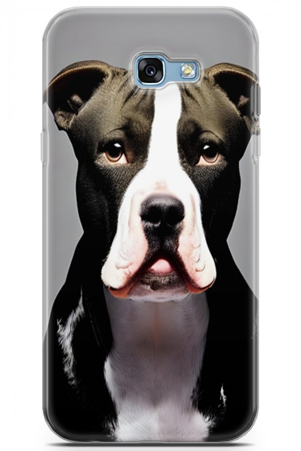 Samsung Galaxy A7 2017 Uyumlu Kılıf Dogs 24 American Pitbull Darbe Emici Kılıf Siyah
