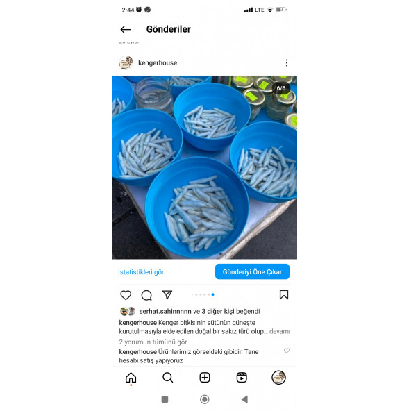 Kenger Sakızı 25 adet - 4