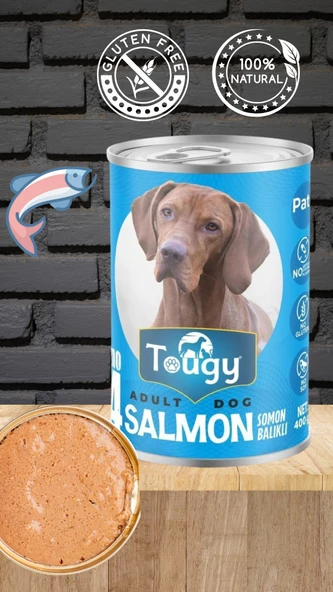 TOUGY SOMONLU KÖPEK KONSERVE PÜRE MAMA 400 GR