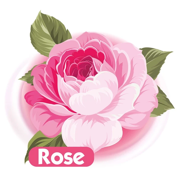 Baby Turco Islak Havlu Mendil 90 Yaprak Gül/Rose Plastik Kapaklı Tekli Pk - 3