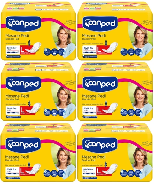 Canped Mesane Pedi Klasik L - Large - Büyük Boy 60 Adet (6PK*10)