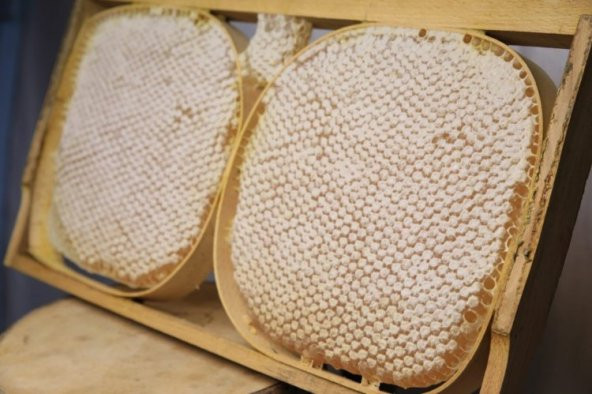 Bingöl Organik Karakovan Petek Bal 2 Li Kasnak 2700 Gr