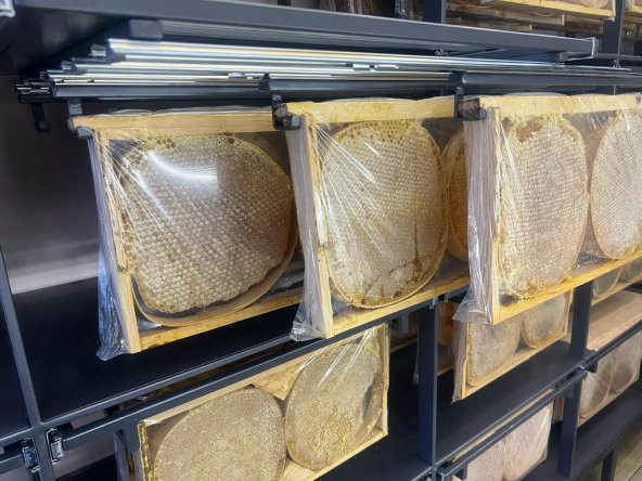 Bingöl Karakovan Petekbal 2700 Gr - 3