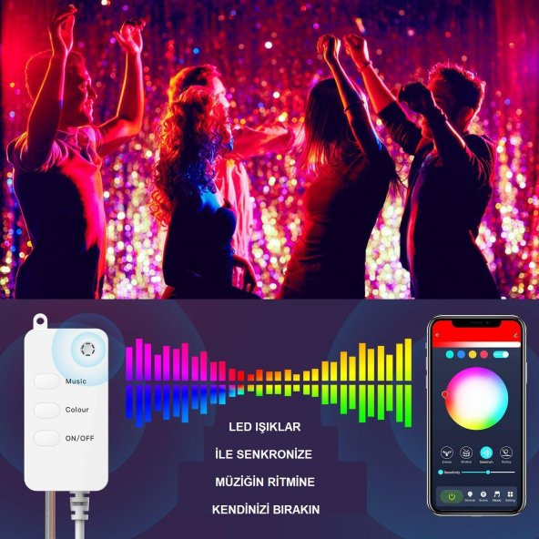UpWay Bluetooth 10 Metre RGB Renk Değiştiren Akıllı Küre Dizili Işıklar USB 66 LED Kumandalı - 3