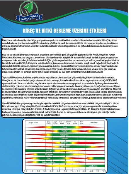 TAMCI - Descaling-S / 1LT PH Düzenleyici - 3