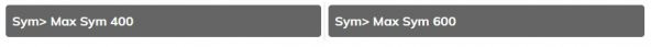 SYM MAX SYM 400 - MAX SYM 600 HAVA FİLTRES - 2