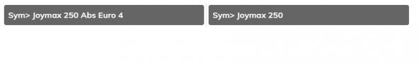SYM JOYMAX 250 İ ARIZA KONTROL ÜNİTESİ - 3