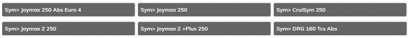 SYM GTS 250 İ - JOYMAX 250 - CRUİSYM 250 ÖN FREN DİSKİ - 2