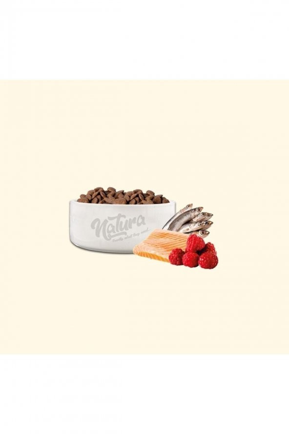Düşük Tahıllı Kısırlaştırılmış Kedi Maması Hamsi Somon Böğürtlen 8+2 kg - 2