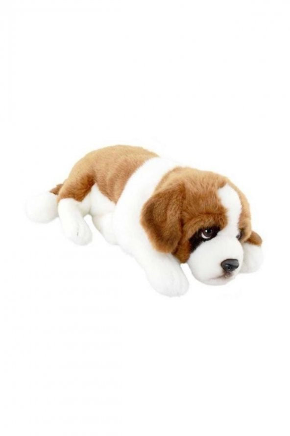 Yatan Köpek - 1