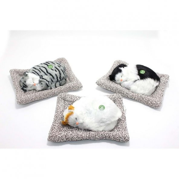 Ses Çıkaran Yastıkda Uyuyan Kedi 41542144456375