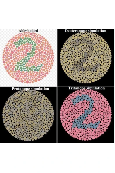 Renk Körlüğü Kitabı (atlası) ürün görseli 1