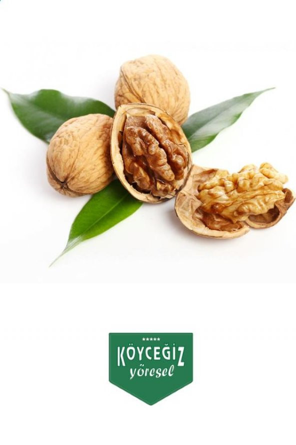 Kb Köyceğiz Yöresel Köyceğiz Cevizi 2 Kg - Resim 5