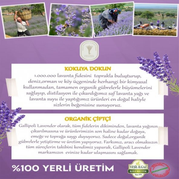 Dr. Lavender Lavanta Yağlı Bebek Şampuanı 250 ml Katkısız Saf Rahatlatıcı Lavanta Yağlı Bebek Şampuanı - 2