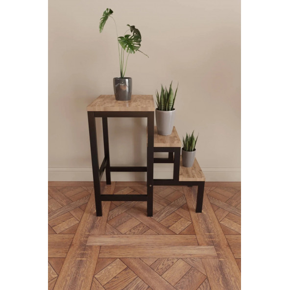 Katlanabillir Metal Ahşap Basamaklı Tabure Merdiven Çiçeklik Çok Amaçlı Tabure Siyah Demirli - 4