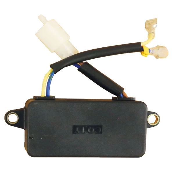 Palmera Pa350 Oto.Voltaj Reg. (Avr) Monofaze 2J10406 ürün görseli 1