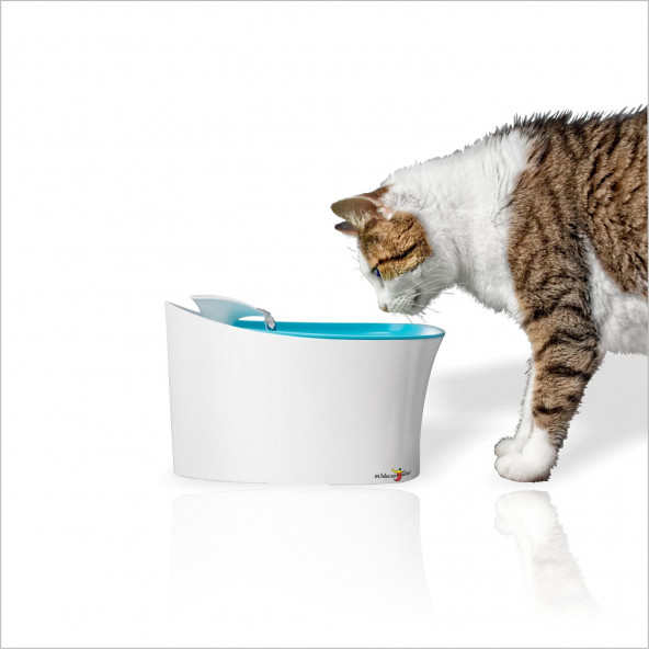 Süper Sessiz Motorlu Akar Sulu Kedi Köpek Kuş Su İçme Kabı Haznesi Çeşmesi Şelalesi Çeşmesi Musluğu