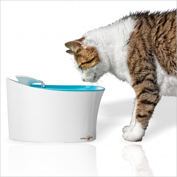 Süper Sessiz Motorlu Akar Sulu Kedi Köpek Kuş Su İçme Kabı Haznesi Çeşmesi Şelalesi Çeşmesi Musluğu - 2