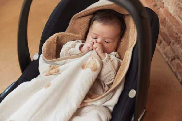 Sevimli Ayıcık Wellsoft Anakucağı Bebek Arabası Battaniyesi