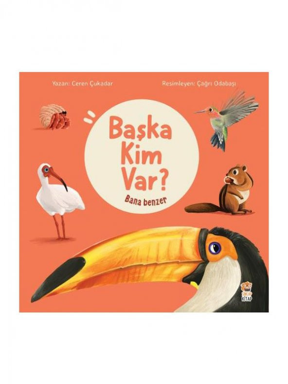 Sincap Kitap Başka Kim Var Bana Benzer