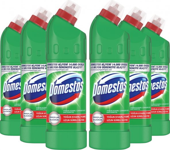 Domestos Yoğun Kıvamlı Çamaşır Suyu Maksimum Hijyen Dağ Esintisi 750 ml x 6