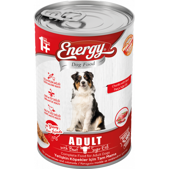 Energy Pet Food Energy Sığır Etli Yetişkin Islak Köpek Konserve Maması 415 Gram 80 Adet - 2