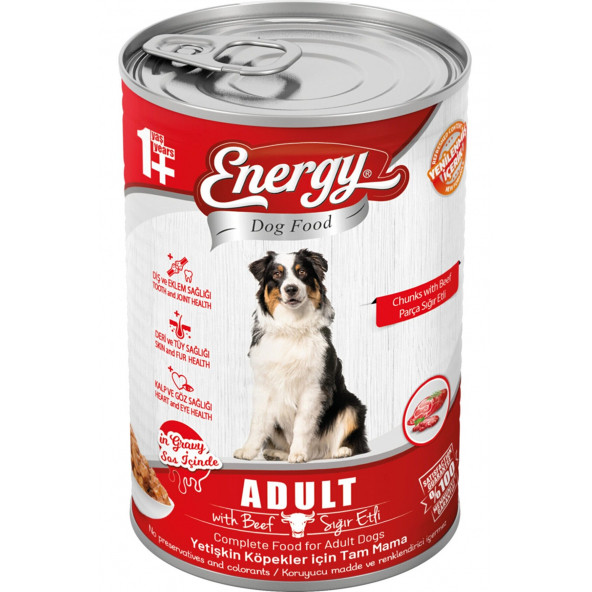Energy Pet Food Energy Sığır Etli Yetişkin Islak Köpek Konserve Maması 415 Gram 80 Adet - 3