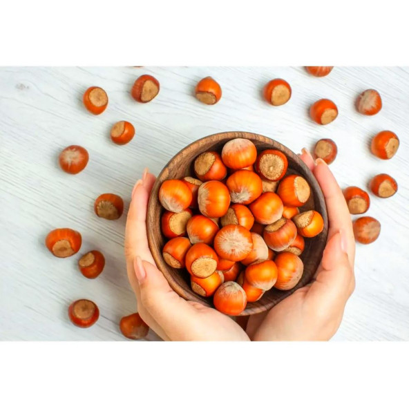 1KG FINDIK KARGO BEDAVA Doğal ve Lezzetli Fındık Satışı -Uygun Fiyata 1 kg Kabuklu Fındık - 4