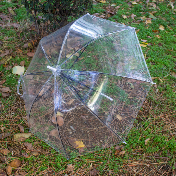 Şemsiye Şeffaf Şemsiye Baston Şemsiye - 2