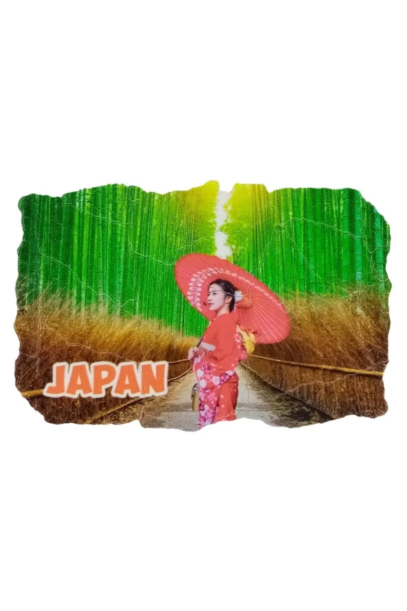 Japonya Temalı Fresco Magnet - Resim 3