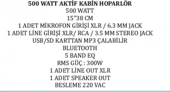 38 CM 500 WATT 15 AKTİF KABİN HOPARLÖR (4353)