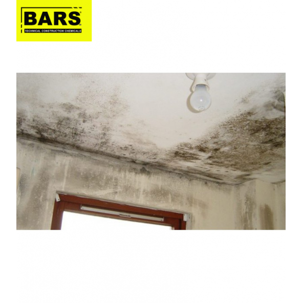 Bars Küf ve Rutubet Boyası - 4
