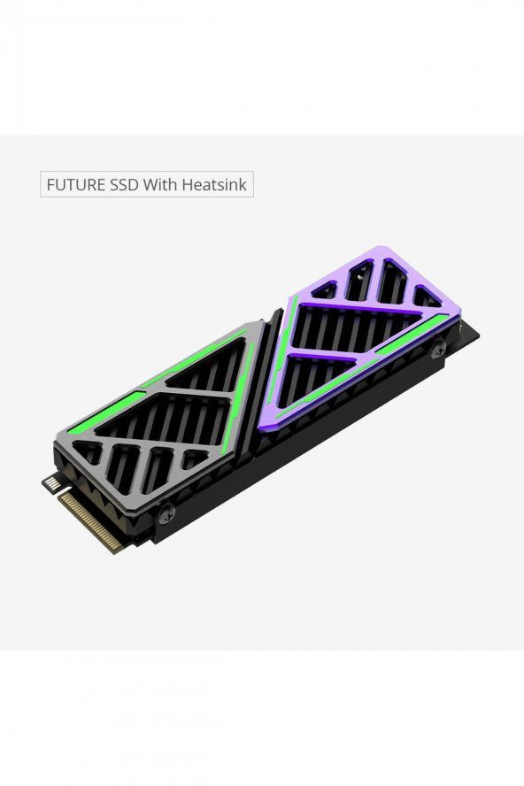 Hiksemi Future X 2TB 7450MB/s - 6750MB/s Gen4x4 PCI-e NVMe M.2 2280 Soğutuculu SSD