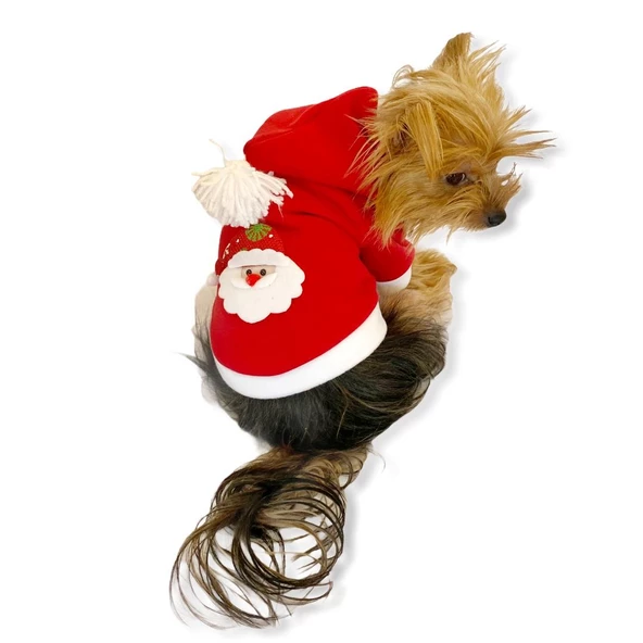 Santa Neo Kapşonlu Polar Noel Yılbaşı Köpek Kıyafeti - 6