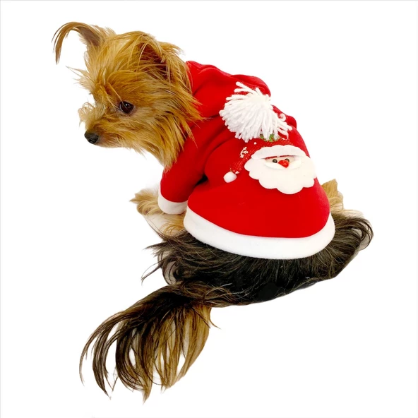 Santa Neo Kapşonlu Polar Noel Yılbaşı Köpek Kıyafeti - 7
