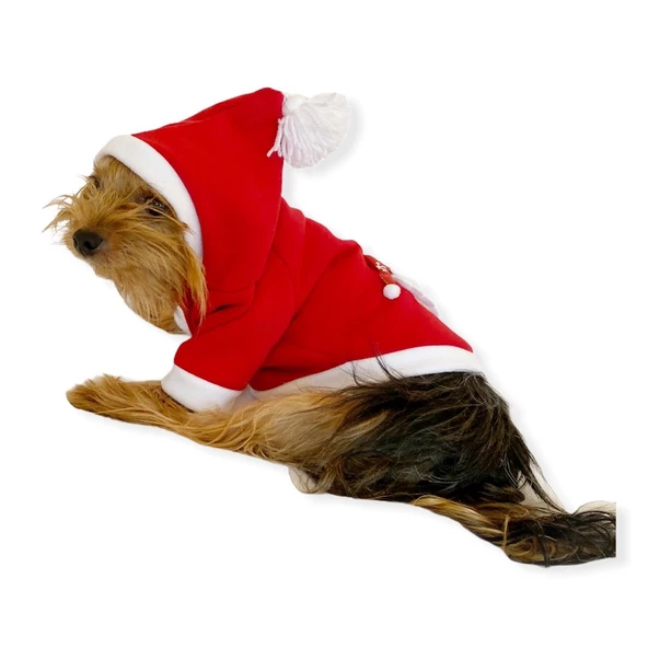 Santa Neo Kapşonlu Polar Noel Yılbaşı Köpek Kıyafeti - 2