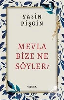 Mevla Bize Ne Söyler? / Yasin Pişgin / Mecra Kitap / 9786057127464