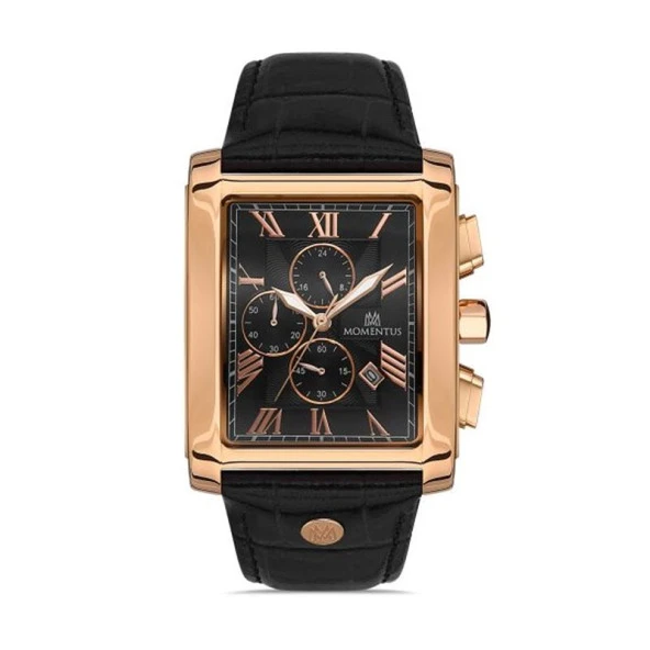 Momentus Men's Time Masters TM111R-04BR Erkek Kol Saati